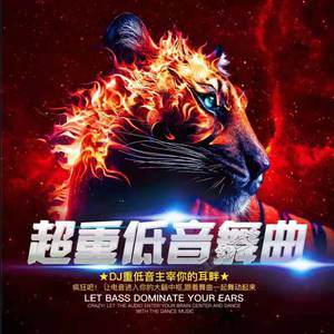 骚,不停操视频在线
